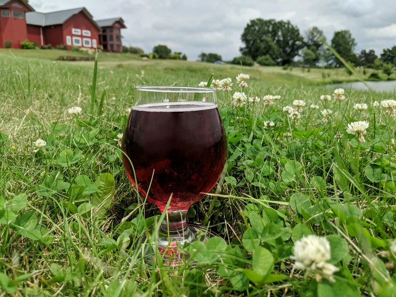 A glass of Briar Patch out in the grass