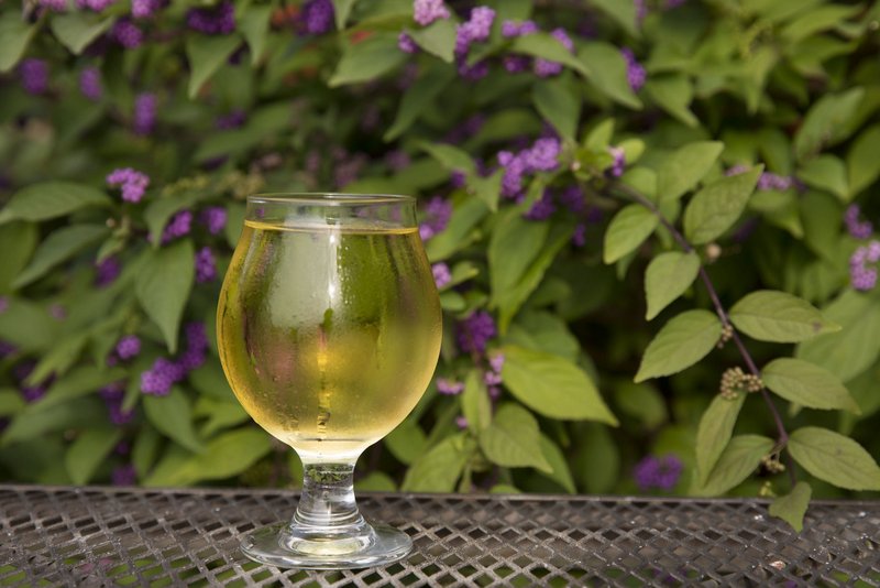 A glass of Storm Break cider on a bench