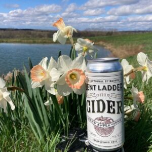 A can of Garden Glory cider sitting out by the daffodils