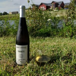 A bottle and glass of Tramineete out by the pond