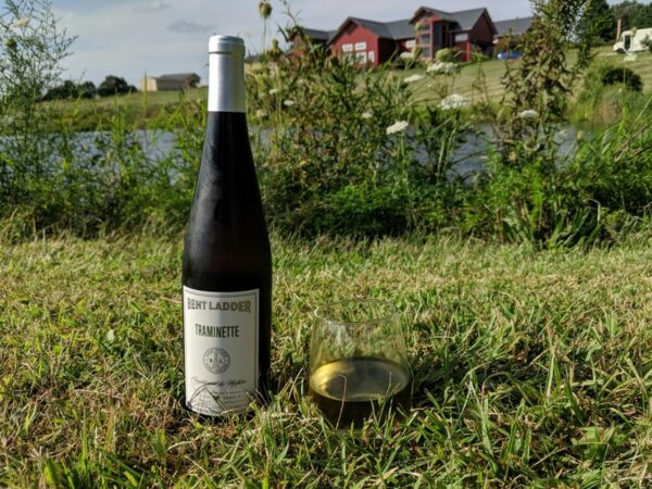 A bottle and glass of Tramineete out by the pond