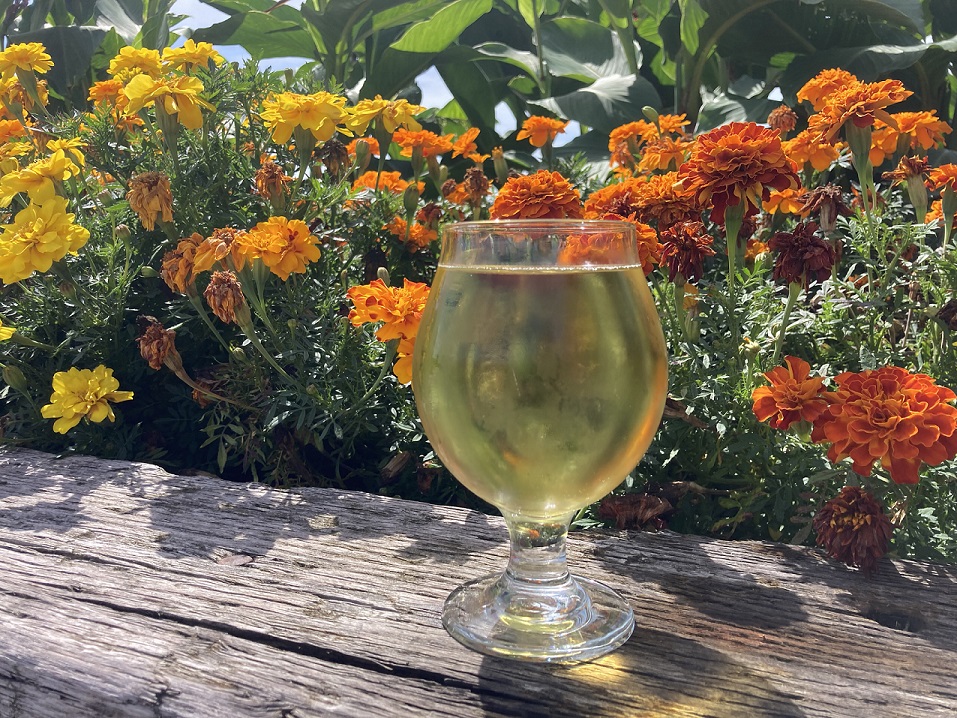 Scarecrow cider in a glass